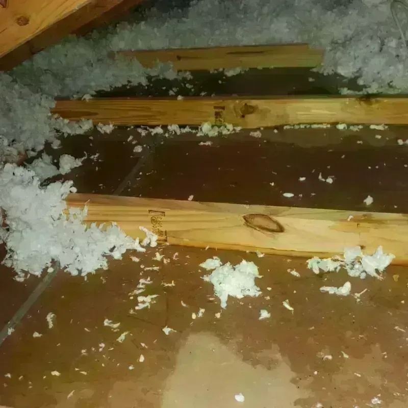 Attic Water Damage in Moultonborough, NH